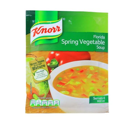 KNORR FLORIDA SPRING VEGETABLE SOUP 48G
