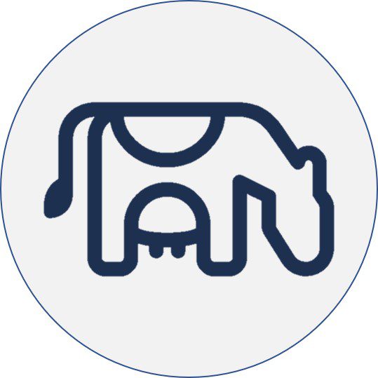 Dairy, Cheese & Eggs