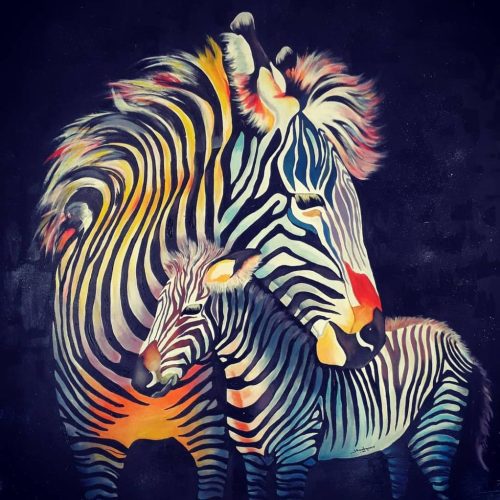 African zebra