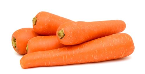 Fresh carrot