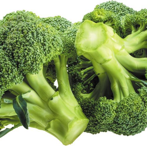 Broccoli small