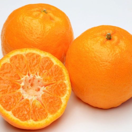 Mandarin 1kg