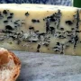 La Fromagerie - Bleu des Collines 150g