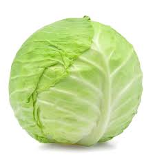 CABBAGE 1PIECE