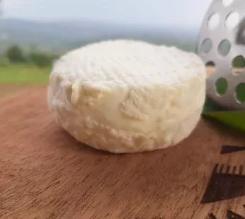 La Fromagerie – Cow Crottin / Crottin de Vache 70g