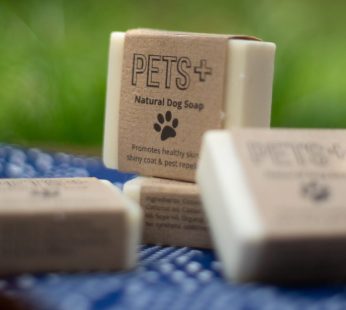 PETS + Natural Dog Soap
