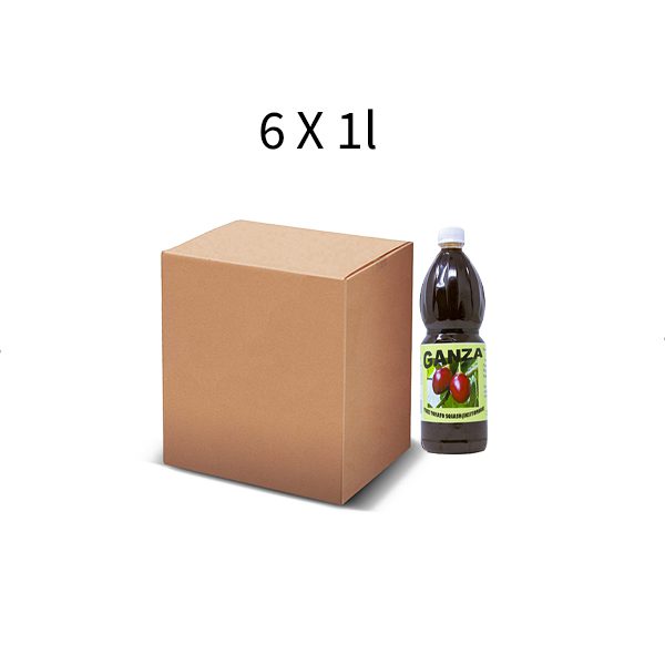 Tree Tomato Squash 1L Carton of 6