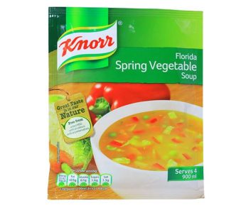 KNORR FLORIDA SPRING VEGETABLE SOUP 48G