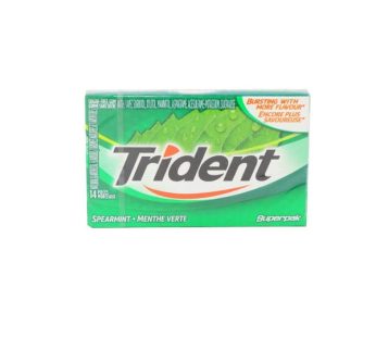 TRIDENT SPEARMINTSUPERPAK 14S