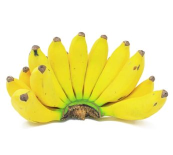 YELLOW BANANA BUNCH/KAMARA FF048