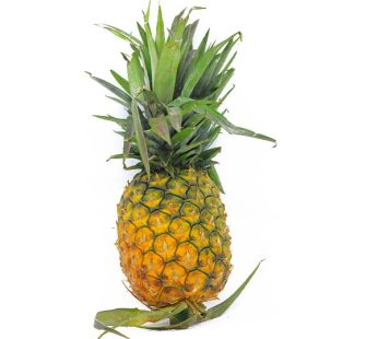 PINEAPPLE PER PC FF032