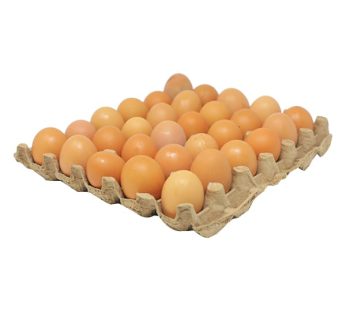 WHITE YORK/PONDEZI EGGS PER PC FF095