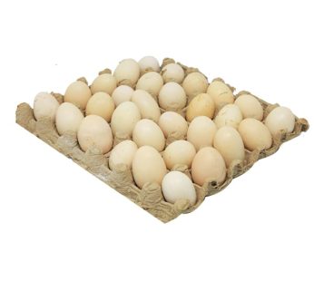 LOCAL EGGS PER PC FF096