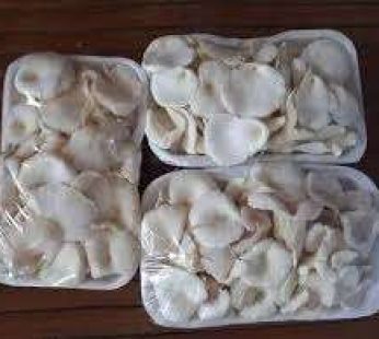 MUSHROOM PACKAGE 500G