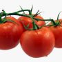 TOMATO 1KG