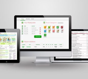 Web Development Services