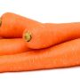Fresh carrot