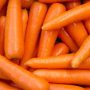 CARROTS 1KG