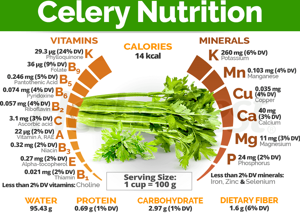 Celery Seedling for Kitchen Garden 10 Pieces - Image 4