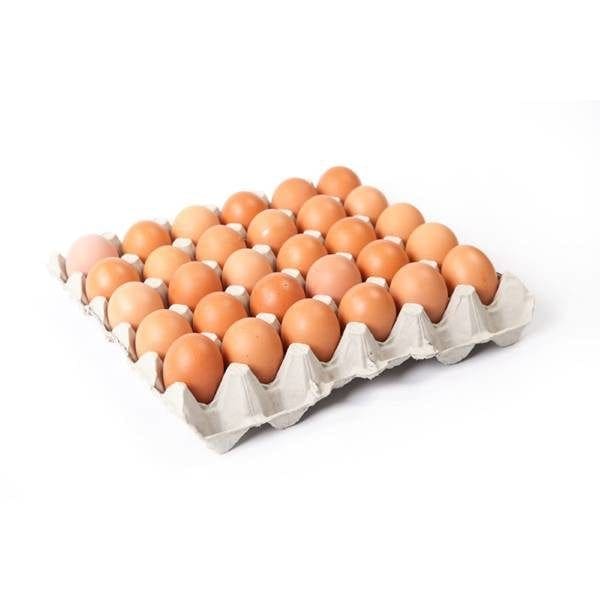 Eggs(Tray)