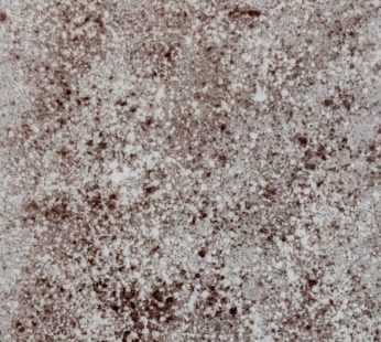 Restoration Series II – Original coffee painting by Kenneth Nkusi – Coffee and acrylics on canvas – African art – Coffee Art