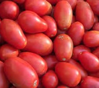 TOMATOES/INYANYA 1KG
