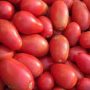 TOMATOES/INYANYA 1KG