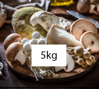 Fresh Organic Mushrooms 5kg