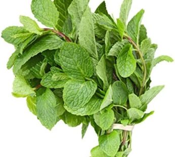 Mint (bunch)