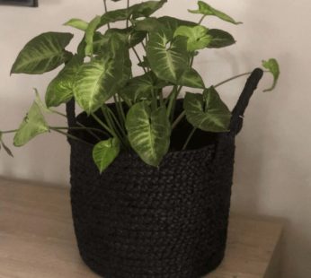 Stylish indoor plants basket