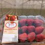 Strawberry 250g